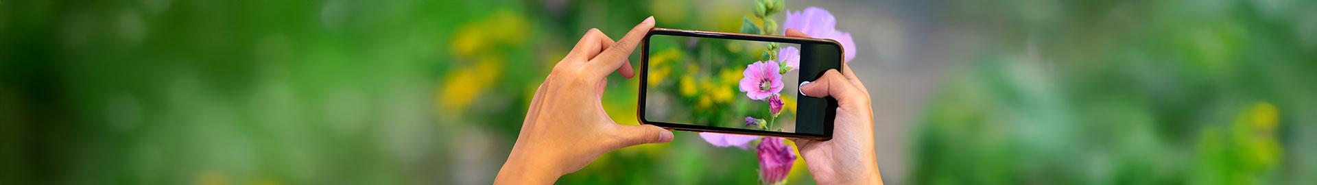 Chavakkad Firka Co-operative Rural Bank Ltd F1250